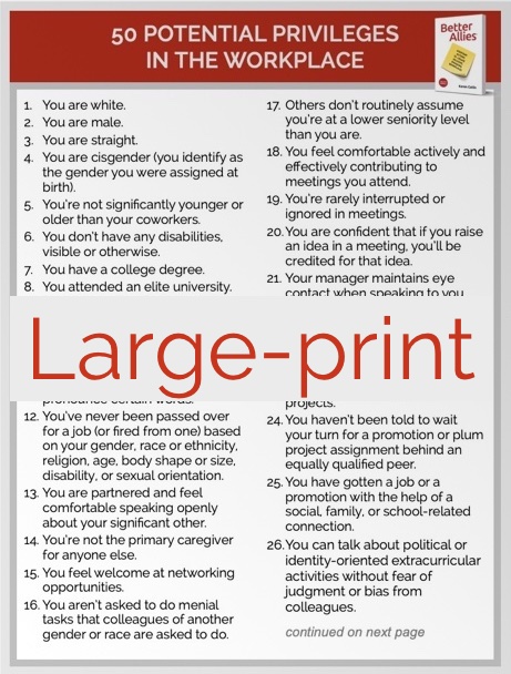 Thumbnail of a large-print edition of 50 Potential Privileges in the Workplace